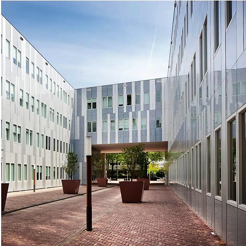 Progetto Scuola Inglese Buddies 3 realizzato da Lorenzo Imperiali DBIOSTUDIO, Assistenza tecnica a Torino