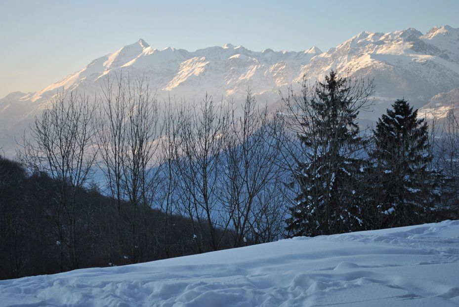Villa Braida / Progetto e realizzazione realizzato da Atelier di Progettazione Green Think_Naturalmente Paglia, Assistenza tecnica a Rivalta di Torino